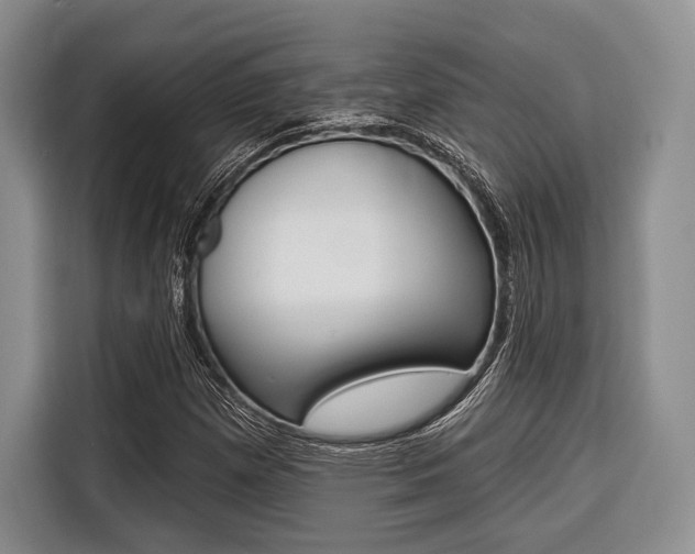 X0000116671257200912140938