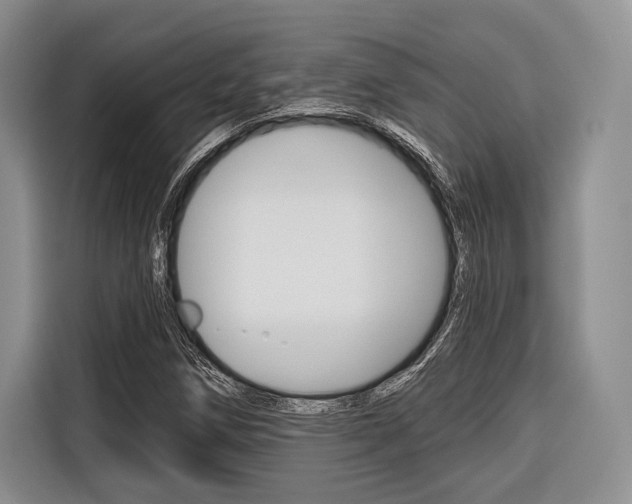 X0000116671258200912140938