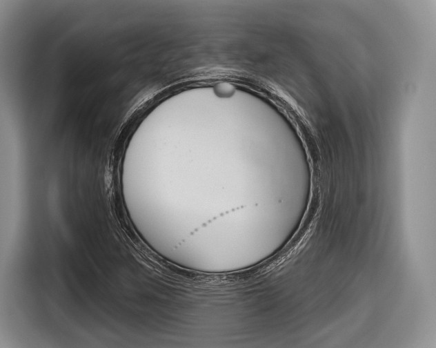 X0000116671259200912140938