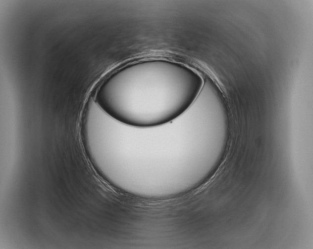 X0000116671260200912140938