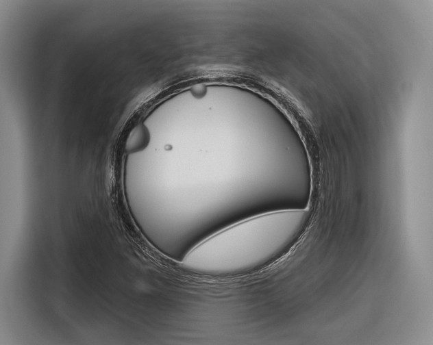 X0000116671261200912140938