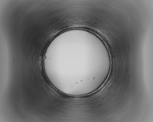 X0000116671265200912140938
