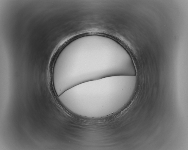 X0000116671270200912140938