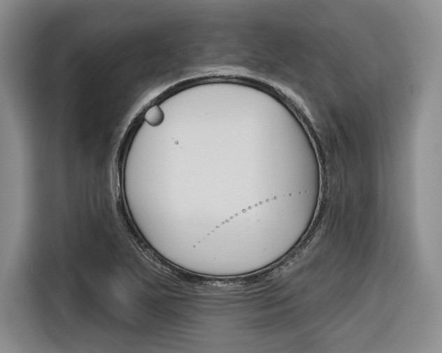 X0000116671271200912140938