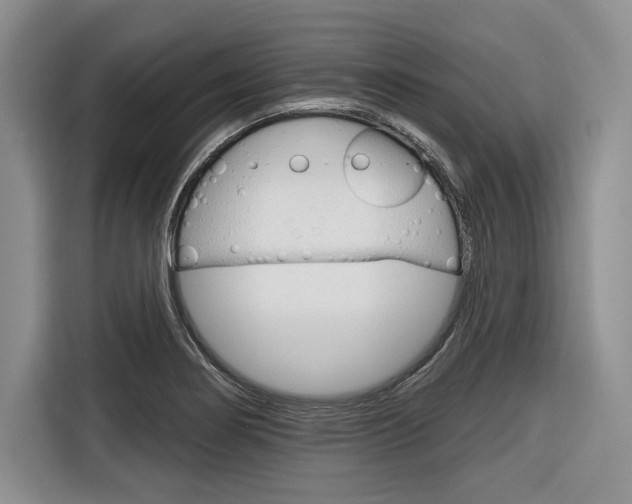 X0000116671274200912140938