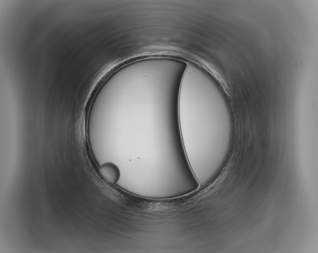 X0000116671275200912140938
