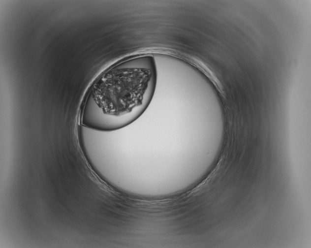 X0000116671276200912140938