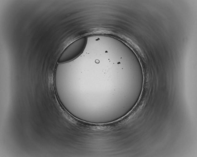 X0000116671281200912140938