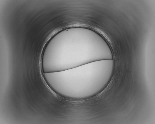X0000116671282200912140938