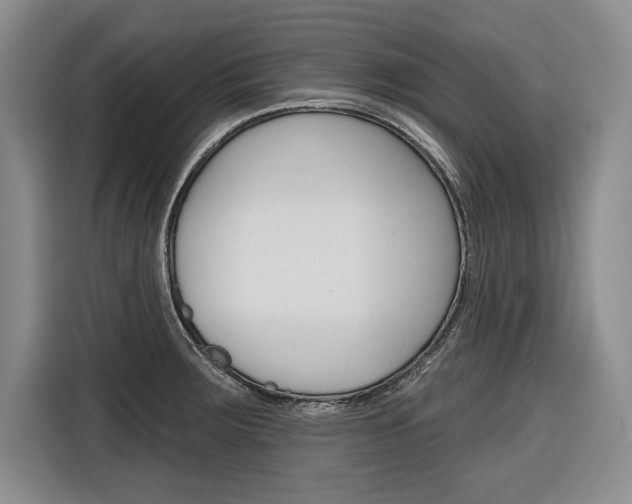 X0000116671283200912140938