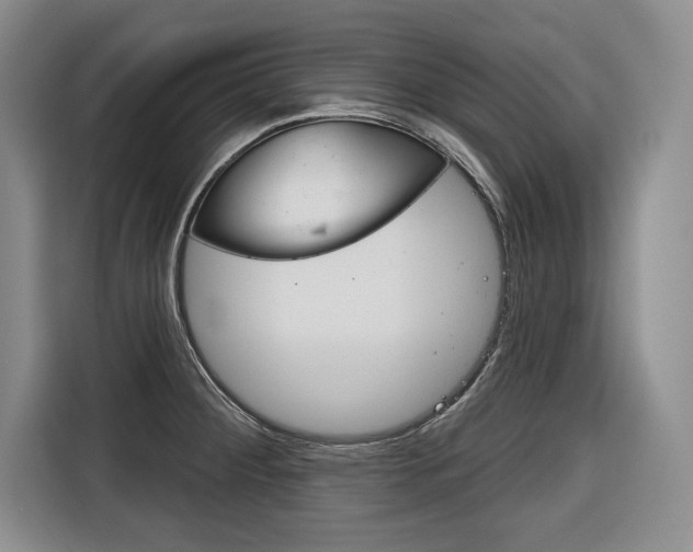 X0000116671284200912140938