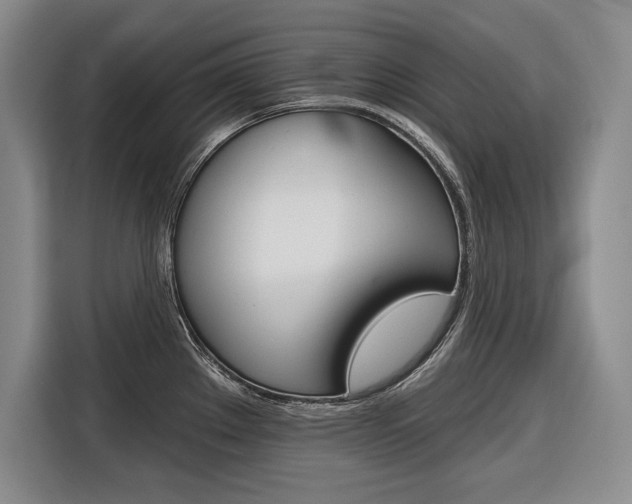 X0000116671289200912140938