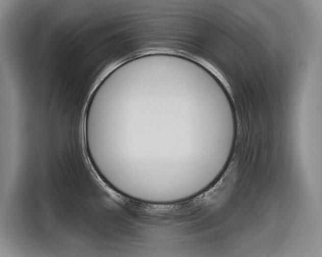 X0000116671290200912140938