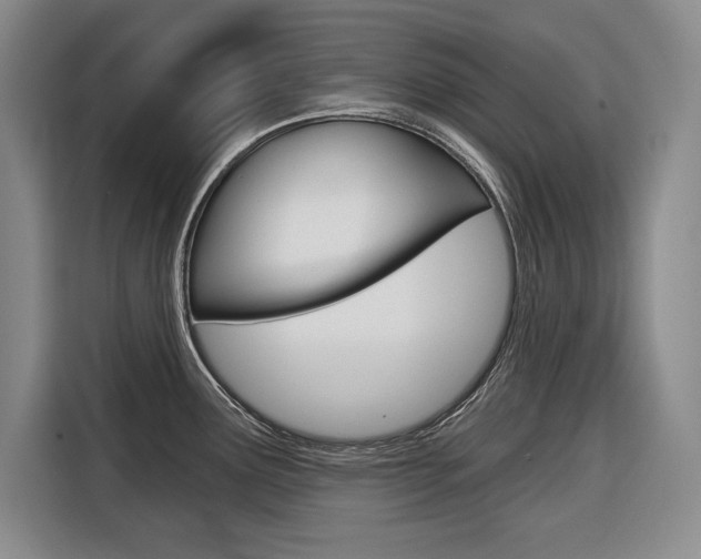 X0000116671291200912140938