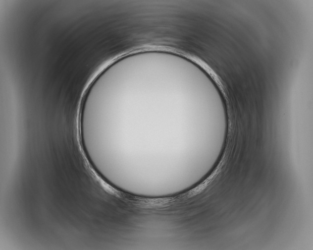 X0000116671294200912140938