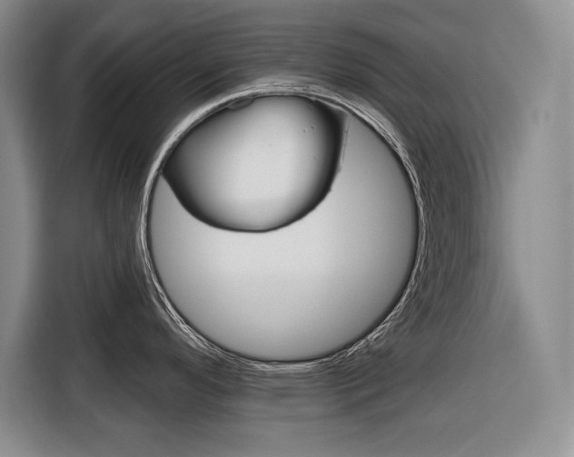 X0000116671296200912140938