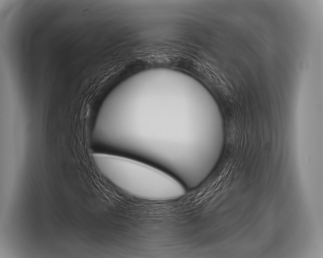 X0000116671297200912140937