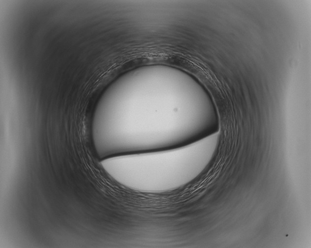 X0000116671298200912140937