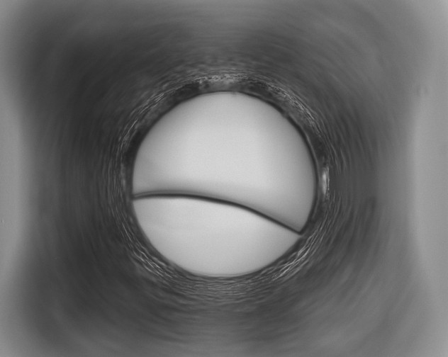 X0000116671299200912140937