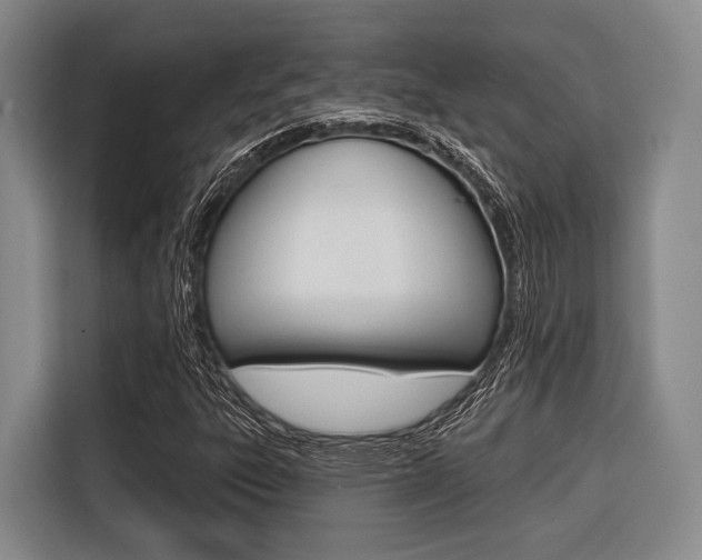 X0000116671303200912140937
