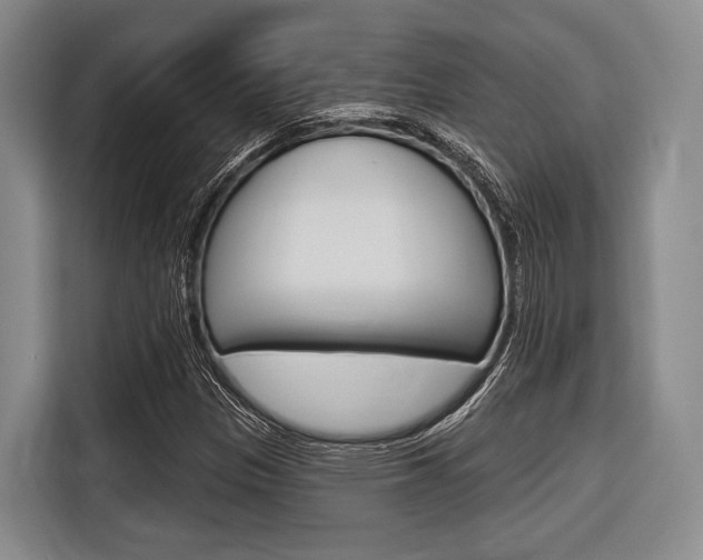 X0000116671305200912140937