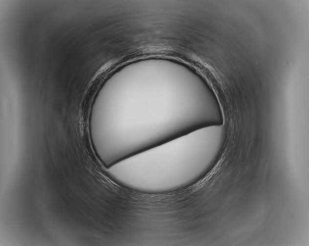 X0000116671306200912140937