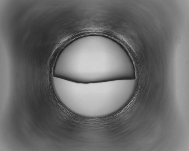 X0000116671307200912140937