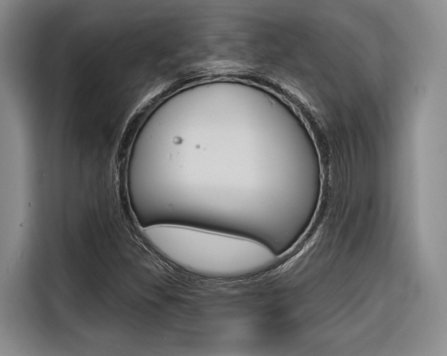 X0000116671309200912140937