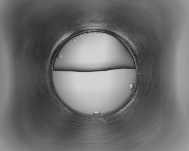 X0000116671317200912140937