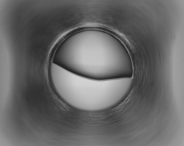 X0000116671319200912140937