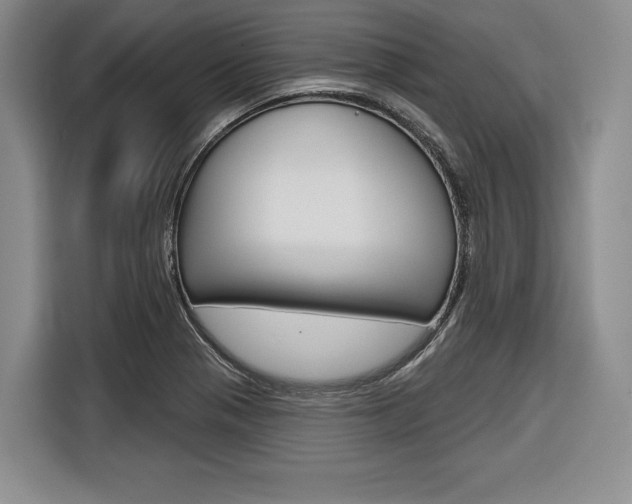 X0000116671321200912140937