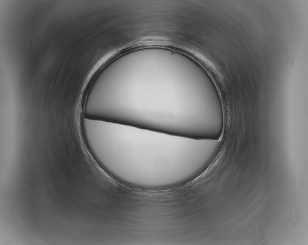 X0000116671325200912140937