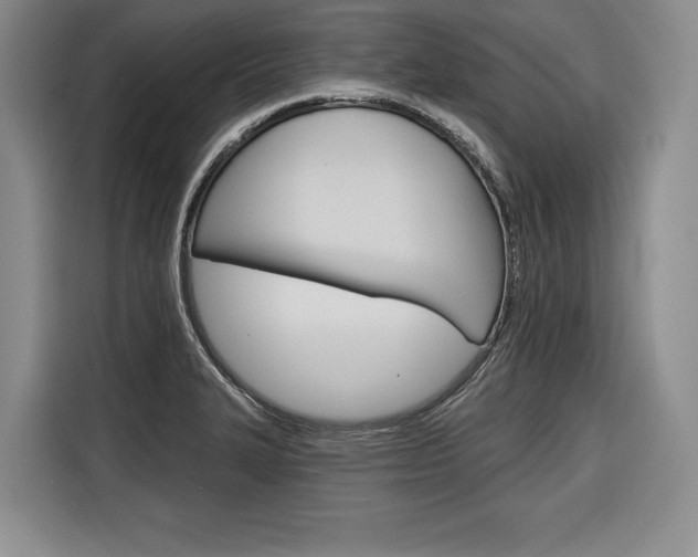 X0000116671327200912140937