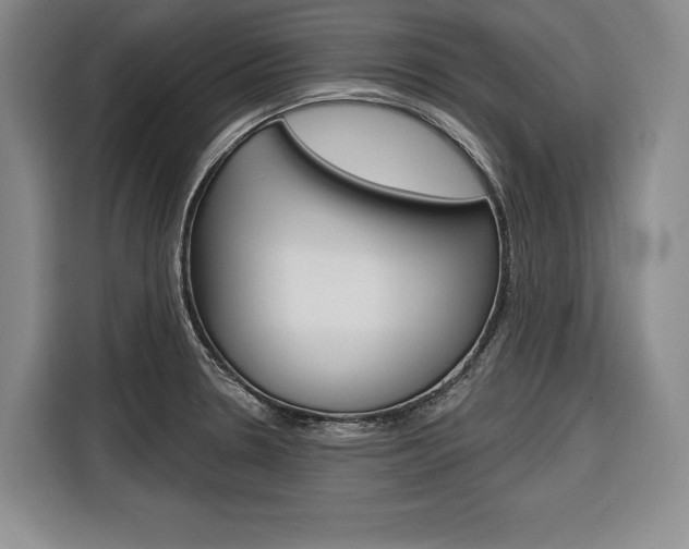 X0000116671330200912140937