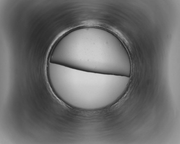 X0000116671331200912140937