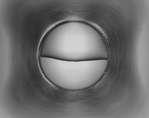 X0000116671335200912140938