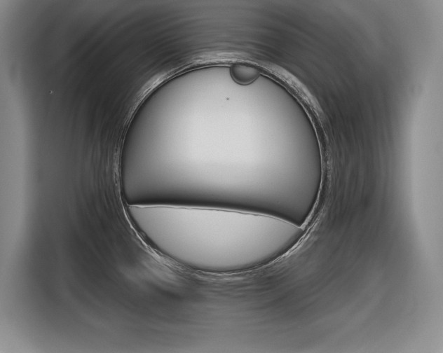 X0000116671337200912140938