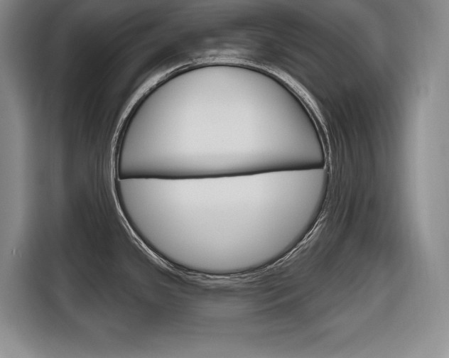 X0000116671341200912140938