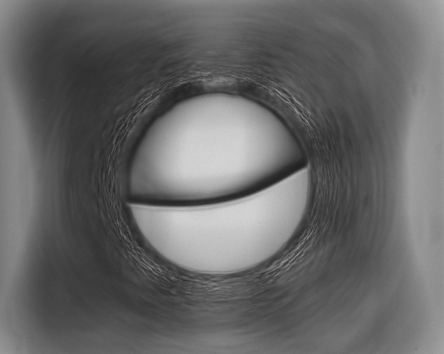 X0000116671345200912140937