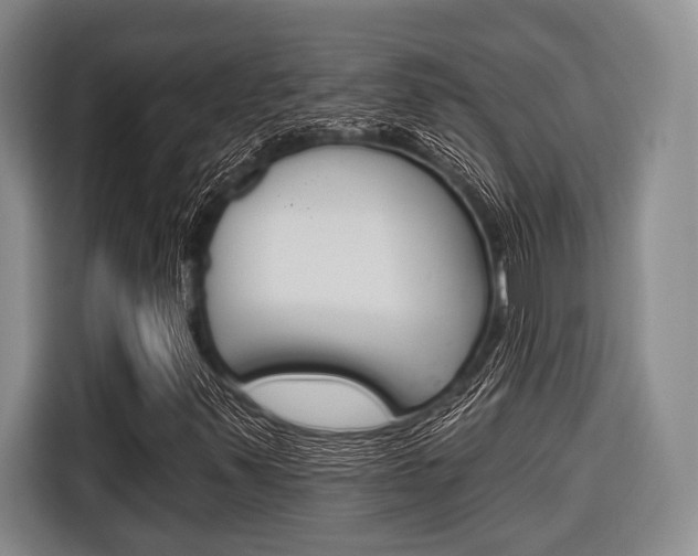 X0000116671347200912140937