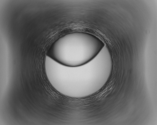 X0000116671348200912140937