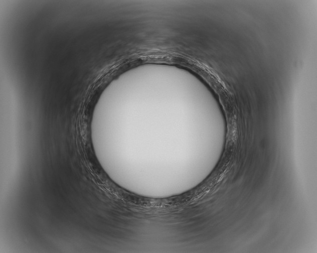 X0000116671350200912140937