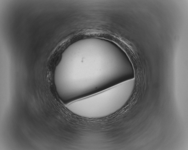 X0000116671351200912140937