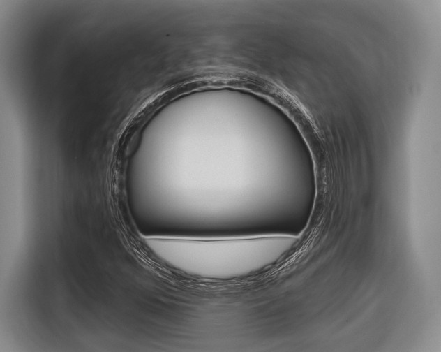 X0000116671352200912140937