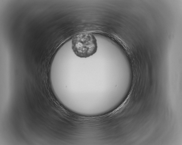 X0000116671353200912140937