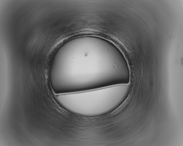 X0000116671355200912140937