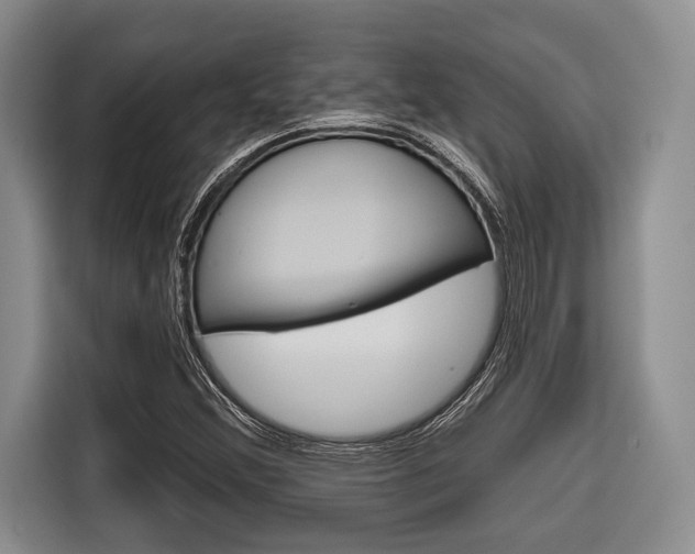 X0000116671356200912140937
