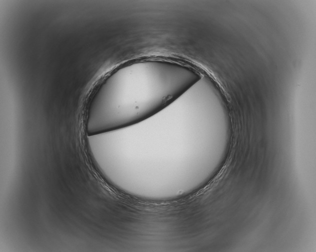 X0000116671359200912140937