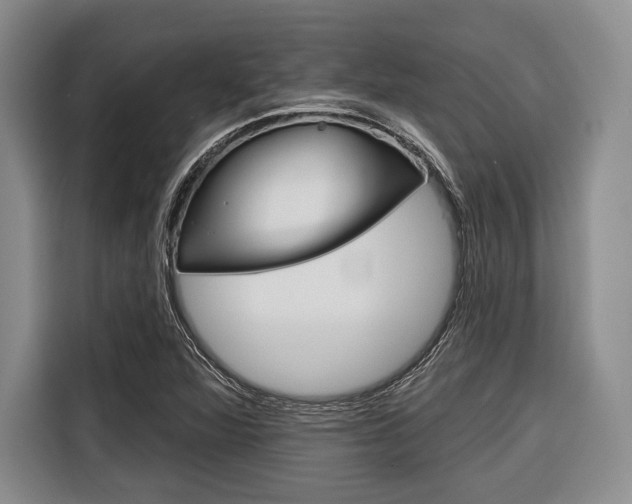 X0000116671360200912140937
