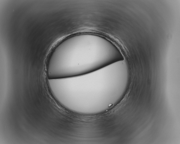 X0000116671363200912140937